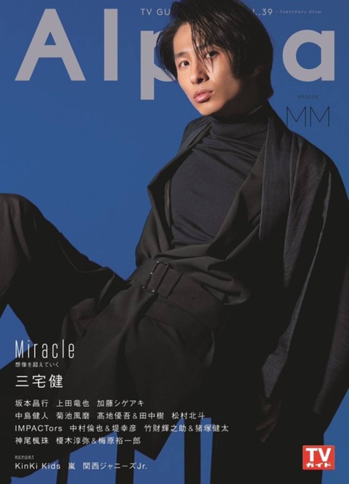 悠さま。ご確認用。V6 三宅健 公式写真 132枚 ファイル3冊 またとない