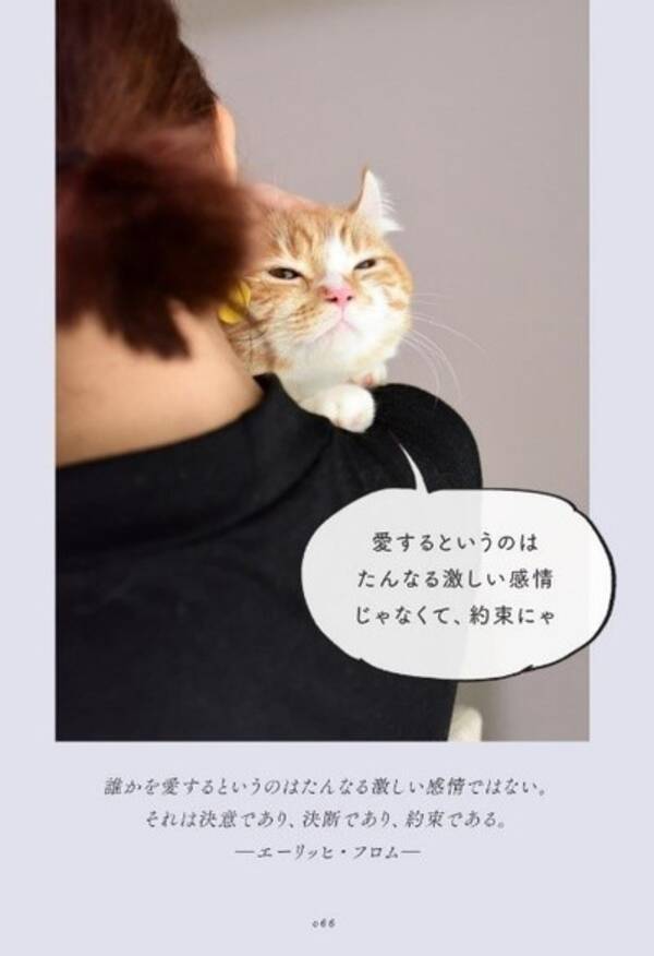 アイドル哲学ナビゲーター と 癒しの猫写真家 異色のコラボ ニーチェ カント パスカル ルソー 哲学者が残した珠玉の言葉 考えない猫が教える脱力系哲学の言葉 21年2月10日 エキサイトニュース