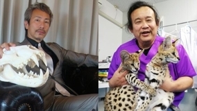 ディズニープリンセス とお花の組み合わせで プリンセス気分をたっぷり楽しめる 新感覚のお花の図鑑が誕生 21年4月14日 エキサイトニュース