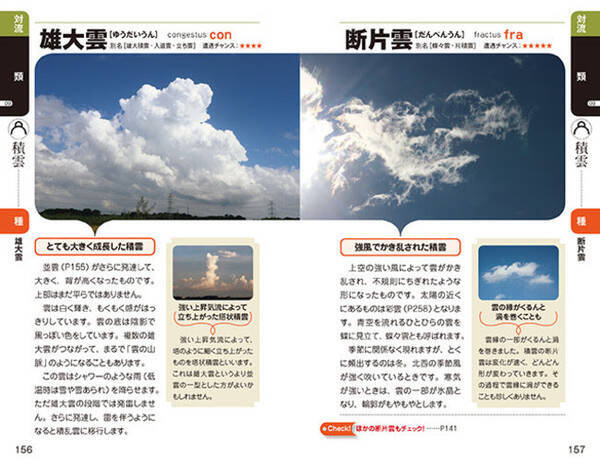 気象予報士 自然科学系ライター 通称わぴちゃんこと岩槻秀明 最新の国際基準で見わける雲の図鑑 発売 21年7月16日 エキサイトニュース
