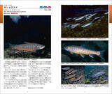 「220種以上の淡水魚の生態、生息環境紹介、『日本の淡水魚図鑑』発売！」の画像3
