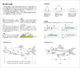 「220種以上の淡水魚の生態、生息環境紹介、『日本の淡水魚図鑑』発売！」の画像2