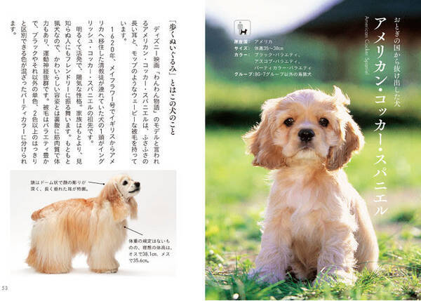 キュートな子犬にキュンキュンがとまらない 103種310匹の可愛すぎる犬を美麗な写真と共に紹介 21年9月9日 エキサイトニュース