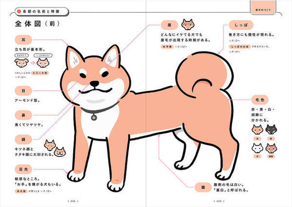 すべての柴好きさんに捧ぐ 新しい柴犬あるある本 柴犬のトリセツ 発売 21年9月13日 エキサイトニュース