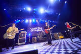 「KEYTALK×ハルカミライ『SHELTER 30th Anniversary FINALE!! ZeppがSHELTERになります。』」の画像26