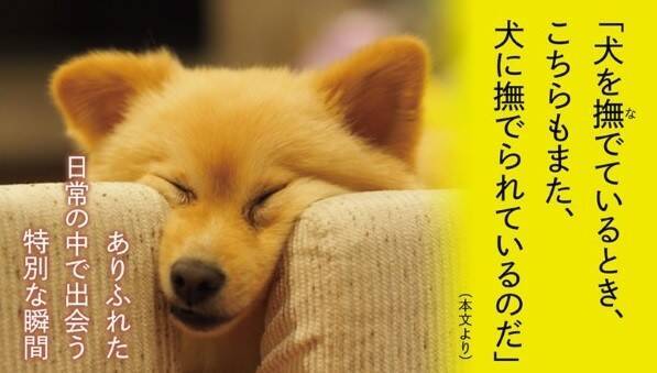 「いきものがかり」リーダー水野良樹・エッセイ集『犬は歌わないけれど』本日発売！