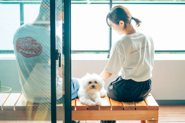 ラグを多用する 家具の高さを低くする 人も犬も心地よく生活できる部屋づくりとは 神奈川県藤沢市 みんなの部屋 21年7月3日 エキサイトニュース