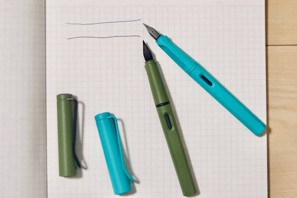 見た目も書き心地もいいlamyの万年筆やアイデアに溢れた箸など 21年にroomieの人気ライターが楽天で買ってよかったもの3つ 21年12月21日 エキサイトニュース