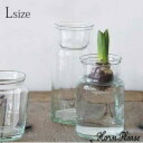 球根用の花瓶 を使って季節のお花を飾ってみたら 一気に部屋が春っぽくなったよ 根っこが見えるのって面白いな 22年3月22日 エキサイトニュース