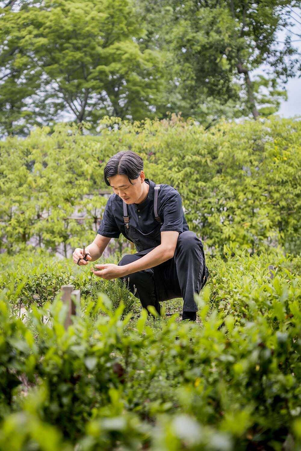 京都で味わう、“未来につながる美食”とは？〈シックスセンシズ 京都〉が描く新しいラグジュアリー