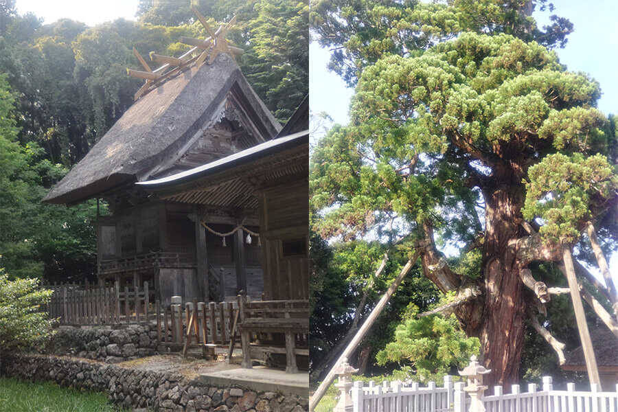 【Safari Travel】何もしないために訪れたい。 神々と大地の記憶が息づく隠岐で過ごす、大人のリトリート旅