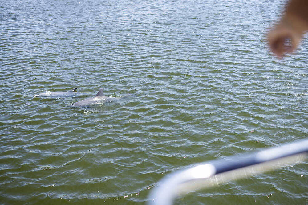 海の恵みと大地の神秘を巡る！ 西オーストラリア州の美食クルーズ＆絶景の奇岩群を満喫