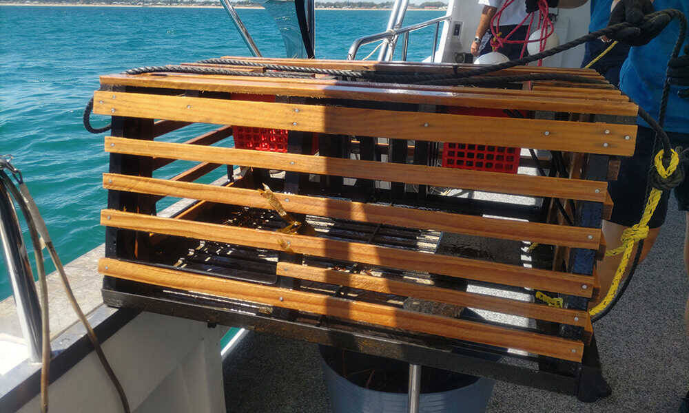 海の恵みと大地の神秘を巡る！ 西オーストラリア州の美食クルーズ＆絶景の奇岩群を満喫