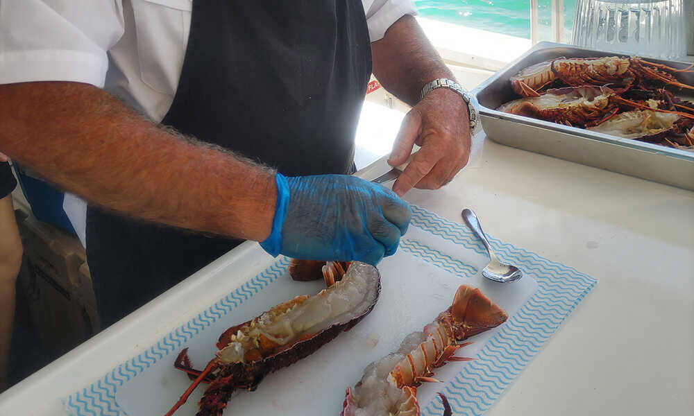 海の恵みと大地の神秘を巡る！ 西オーストラリア州の美食クルーズ＆絶景の奇岩群を満喫
