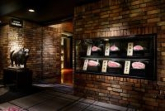 はまだふくこの発見！ 料理とお酒のベストマッチング！口の中でさらりととろけるハンバーグに、上等な赤ワインで乾杯！