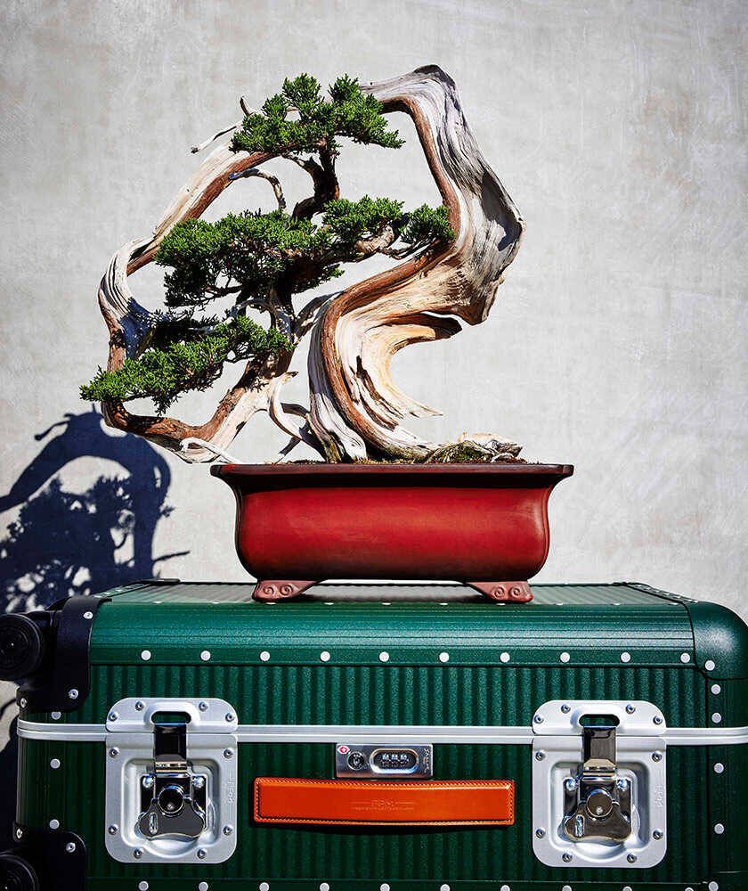 表参道旗艦店が2月5日（木）グランドオープン〈エフピーエム ミラノ〉がタッグを組んだのは、日本の伝統文化“盆栽”！