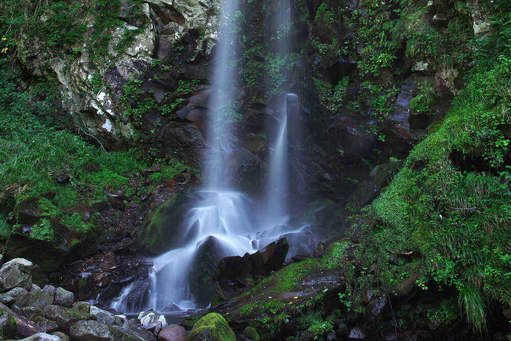 ジャパニーズ・ウイスキー・ジャーニー　その土地で完成する一杯【山形・遊佐蒸溜所】鳥海山の名水×遊佐の気候風土×スコットランドの伝統製法！