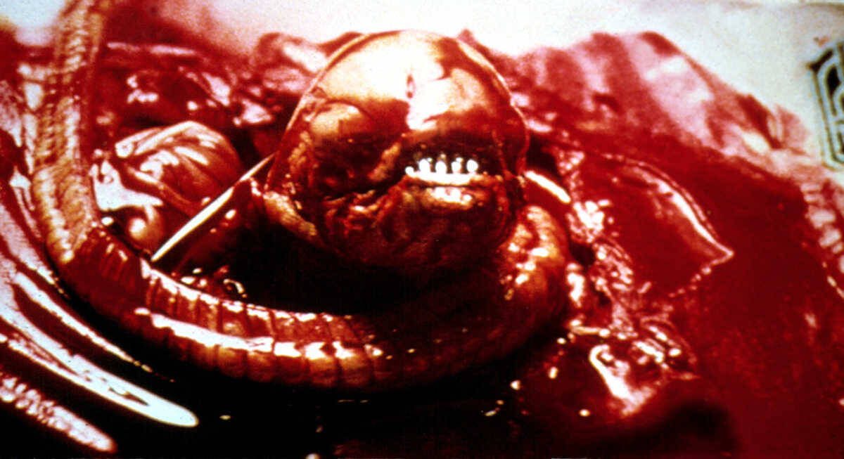 【まとめ】思わず背筋が凍る! 大人でも怖〜い映画23選！《再配信》