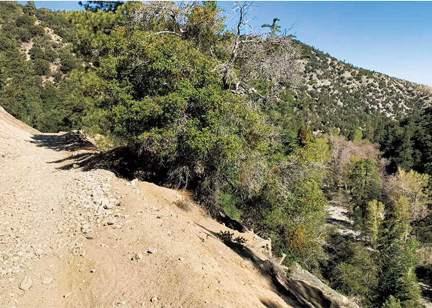 カリフォルニアのモーターサイクリスト！本気で遊べて楽しいハイパワーオフロード！　〈ホンダ〉CRF450L