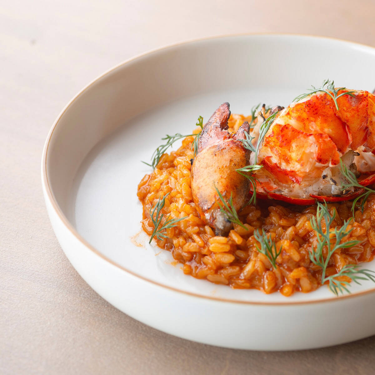 ミシュラン一つ星を獲得している〈メティス六本木〉の姉妹店ビストロ、〈トーチ〉が六本木の駅近にオープン！