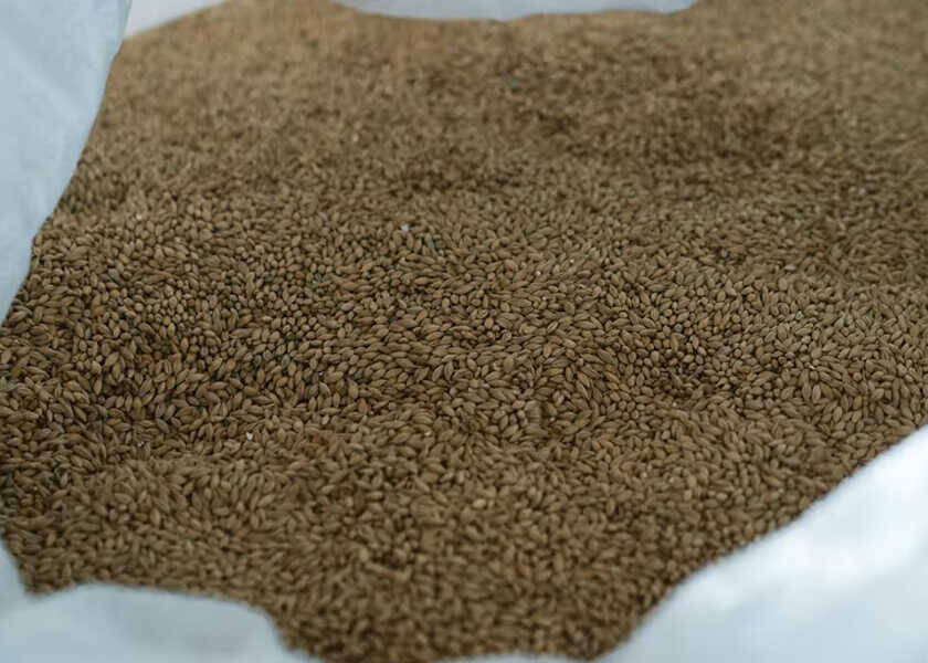 世界初！　“屋久杉”の樽で熟成するウイスキーが発売！