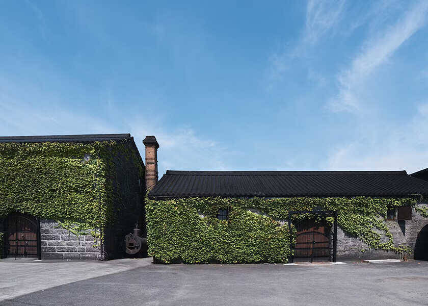 世界初！　“屋久杉”の樽で熟成するウイスキーが発売！