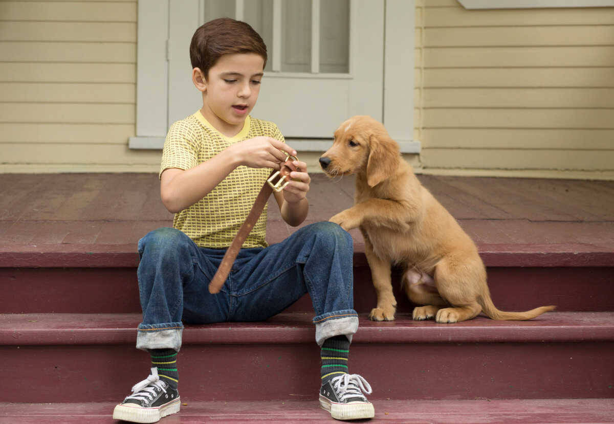 絶対に泣ける感動映画10選③《再配信》