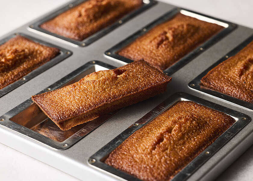 アレが食べたいからこの店へ！白金高輪のビストロノミーで、和やかにフレンチのフルコースを堪能！