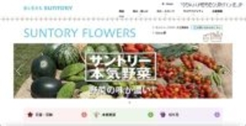 「＆Green」利用のメール配信システムでエラー、複数のメールが誤送信