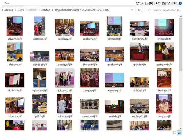 「女性政治指導者を狙うサイバー攻撃グループ、その新手口」の画像