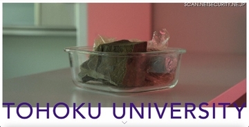 4 名の東北大 ID を不正利用し情報機器に不正アクセス