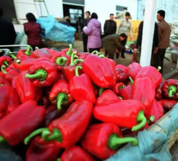 農薬入りインゲン豆で中国メディア「日本は慎重報道」