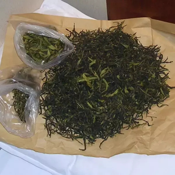 旬を逃さないで！　お茶のボージョレーヌーボー「雪片」