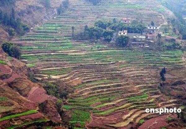 中国 耕地面積約1 2億ヘクタール 危険ラインまで減少 09年3月3日 エキサイトニュース