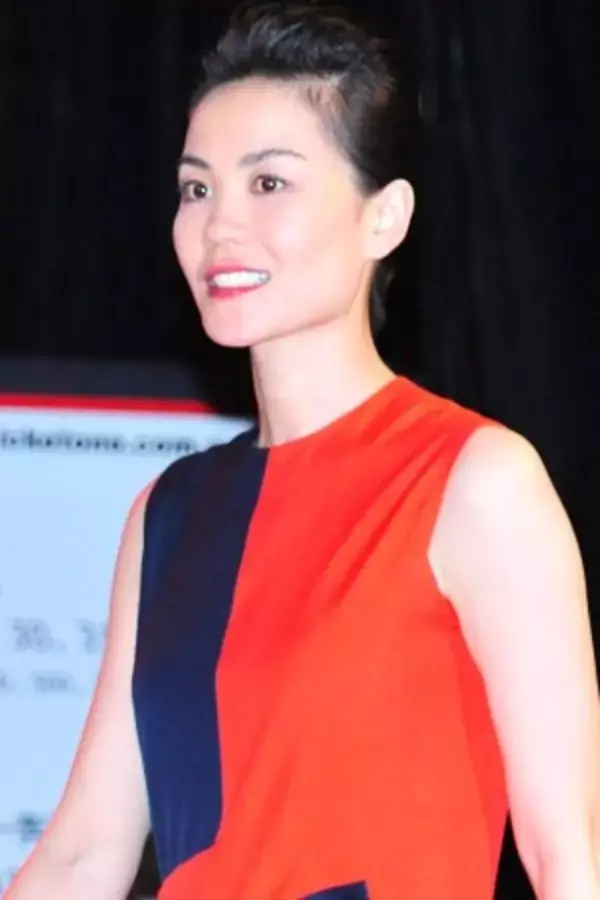 【華流】中国のトップ歌手フェイ・ウォン、レディー・ガガに勝利？