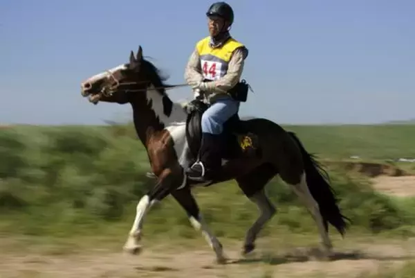 内モンゴルでも国際競技会…馬術の耐久レース、最高齢騎手は74歳