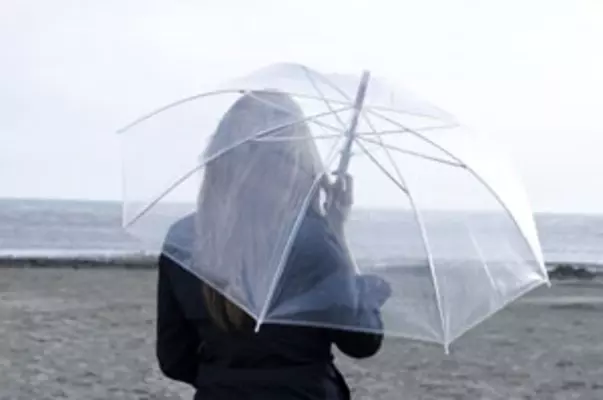 美しすぎるビニール傘 梅雨シーズンも気分が上がる 21年5月13日 エキサイトニュース