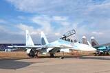 「「Ｓｕ－３０」戦闘機事故、インドでなぜ多い？・・・「鳥が多い」「暑いからだ」「下手だからだ」＝中国メディア」の画像1