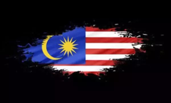 中国系とマレー系住民の対立に、マレーシア政府が新法案を提出・・・民族差別的発言を規制、「ブタ」「外来者」「中国に帰れ」が抵触する可能性も＝中国メディア