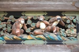 日本では、「猿が論語」を説いている　いったいどれだけ好きなんだ？＝中国メディア
