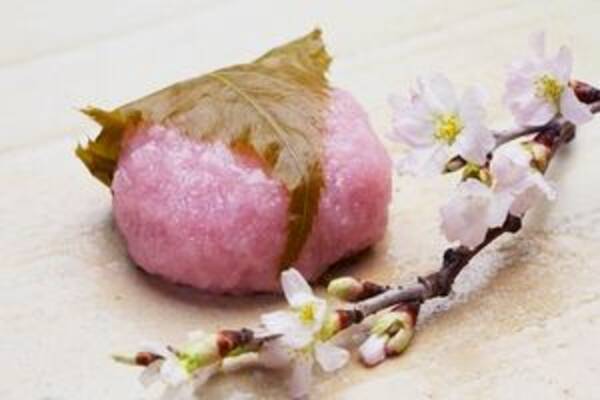 日本で楽しむ 眺めれば美 味わえば春 桜の季節の食べ物を一挙紹介 中国メディア 16年3月11日 エキサイトニュース
