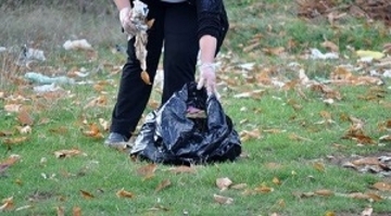 日本人がパリでゴミ拾い・・・日本には「パリ症候群」って言葉があるらしいぞ＝中国メディア