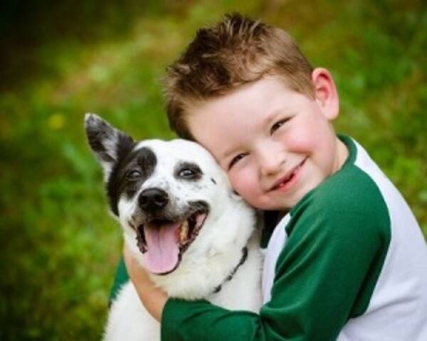 ルールを守るからこそ 人も犬も幸せ 日本で見た飼い主たちのマナーに 中国人が 見習わねば と感嘆 16年4月5日 エキサイトニュース