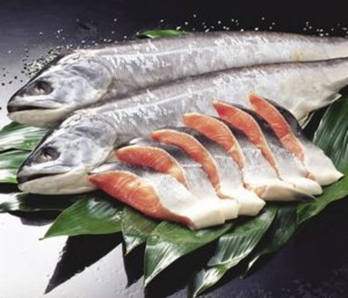 えっ ウソ 日本人はサケを刺身や寿司で食べない 中国人には驚きの事実 16年9月27日 エキサイトニュース