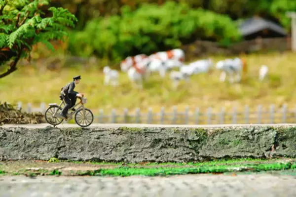 わが国とは違う！なぜ日本の警官は「自転車に乗るのか」＝中国報道