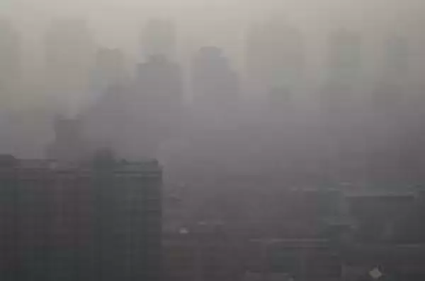 「日本人が漢方薬を中国人に売る・・・信じがたいが本当に起きていること＝中国」の画像