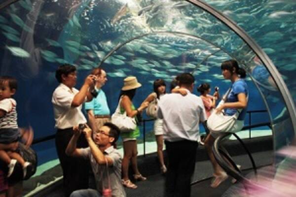 一体何度行ったら飽きるのかが全く見当がつかない 何度でも行きたくなる日本 中国メディア 17年3月21日 エキサイトニュース