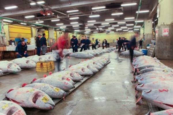 汚く 臭い中国の市場とは違いすぎる 築地市場は緊張感と楽しさが共存する場所 中国 17年3月23日 エキサイトニュース