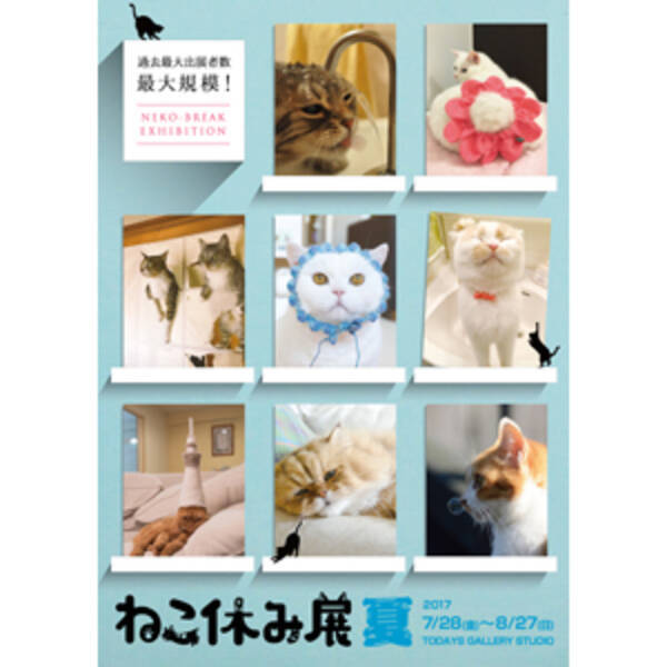 香港のスター猫 クリーム兄貴 に負けない 日本の猫の祭典 ねこ休み展 が香港進出 17年7月7日 エキサイトニュース