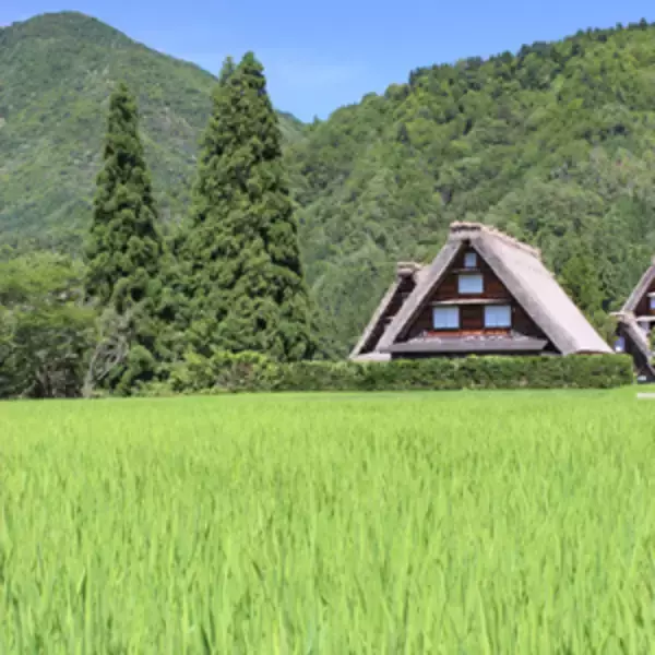 日本の田舎はいいなぁ・・・「都会よりもむしろ豊かな暮らし」＝中国